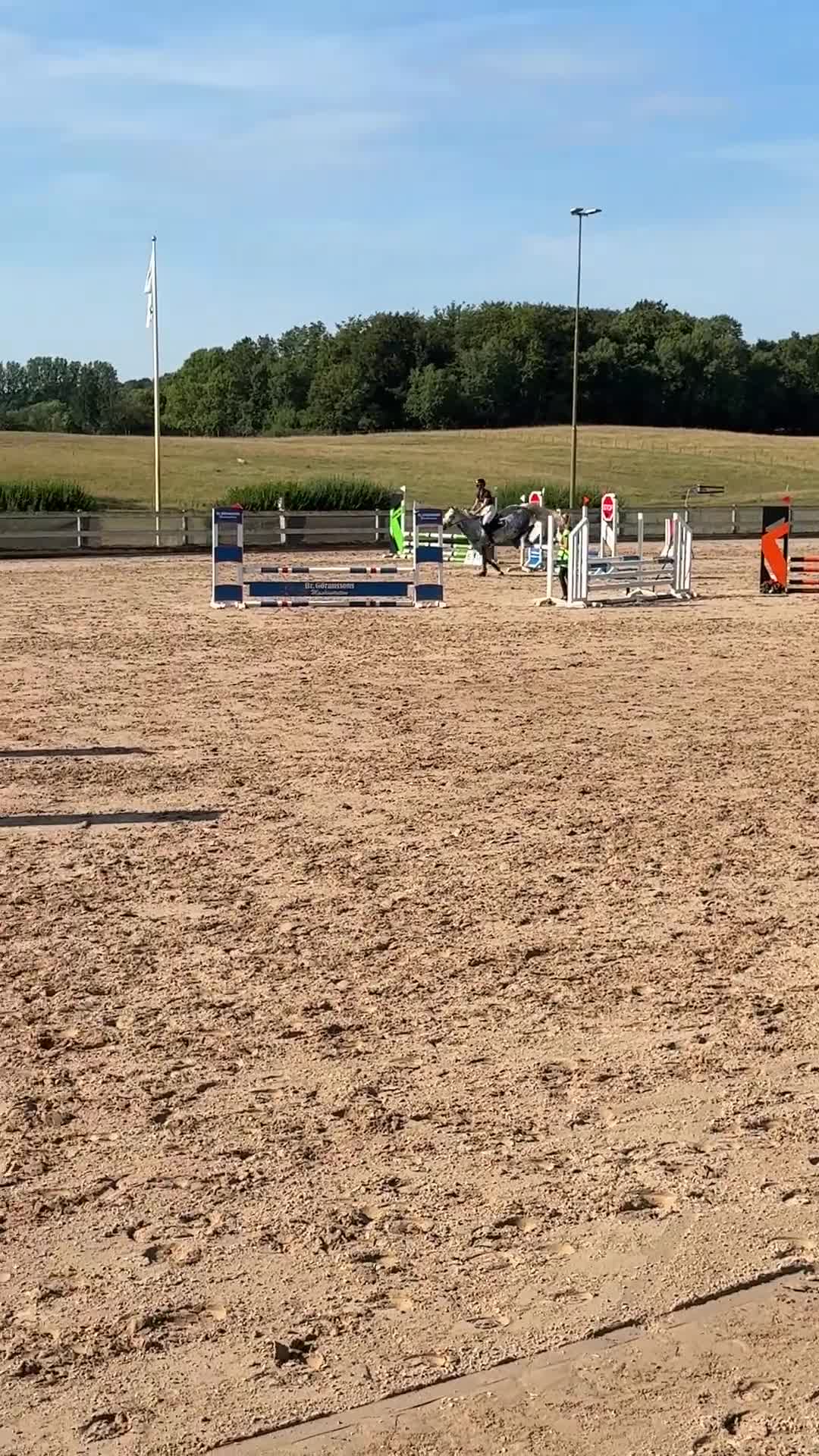 Hoppning hästar till salu: Pampigt sto som sticker ut i mängden - Video 4