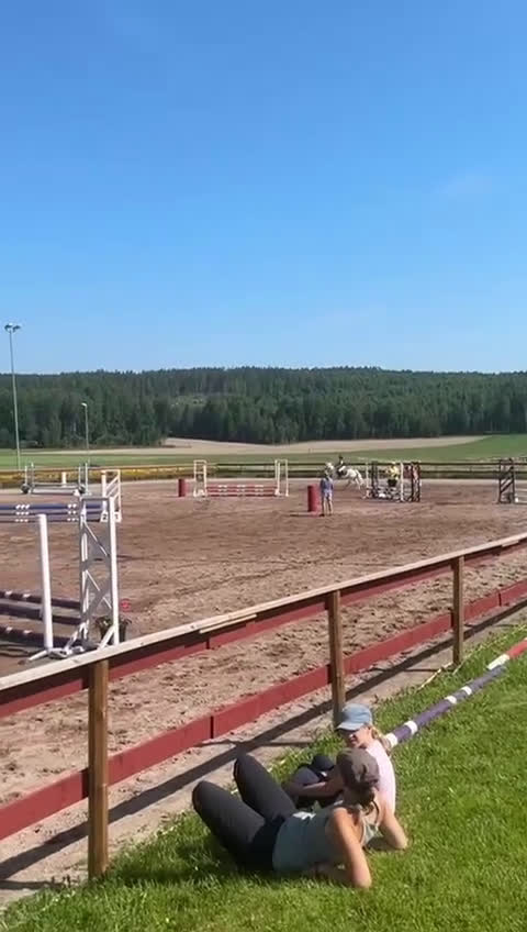 Allround hästar till salu: Sött och charmigt sto i Hedemora - Video 1