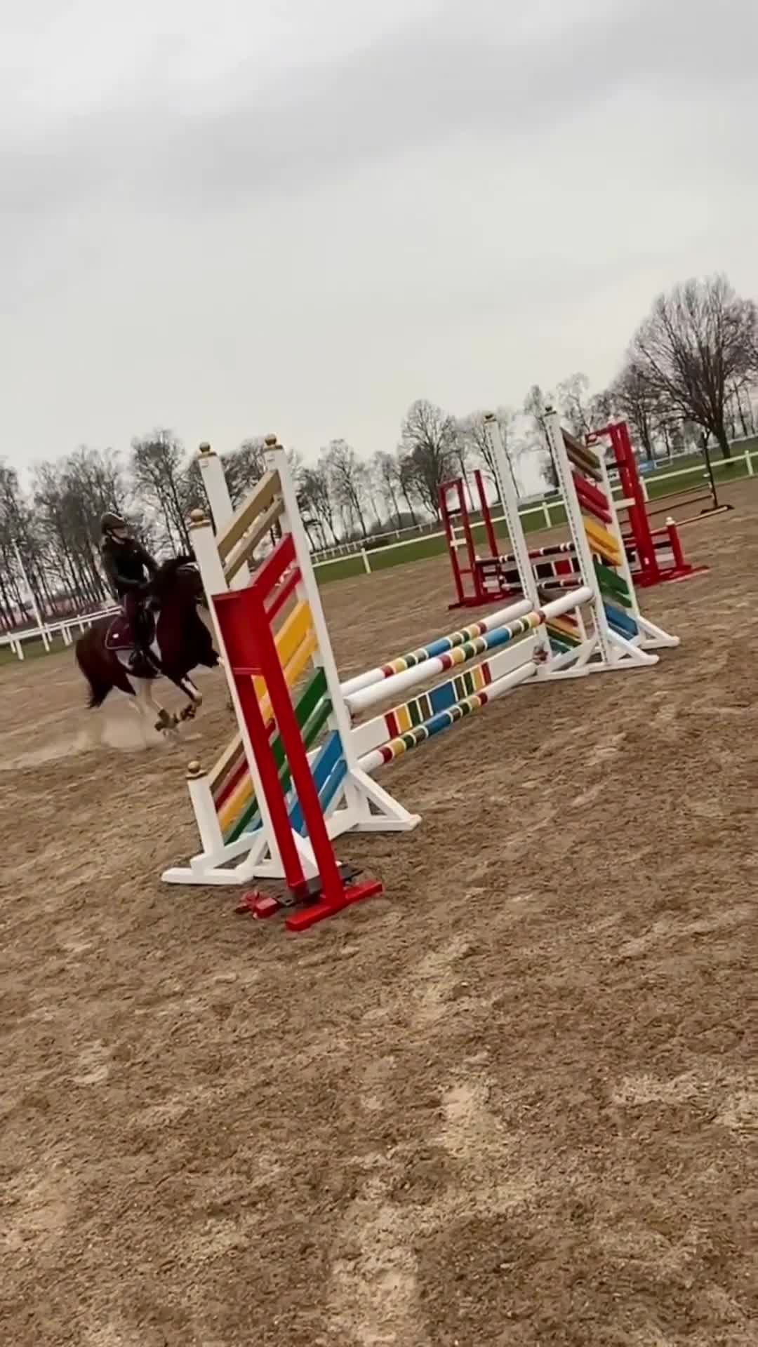 Allround hästar till salu: Pigg och positiv ponny söker kärleksfullt hem.  - Video 4