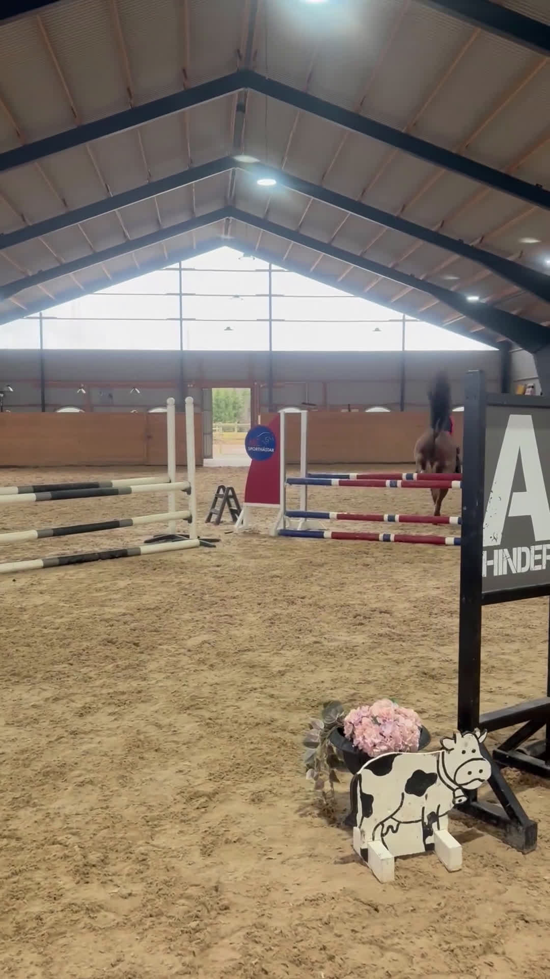 Hoppning hästar till salu: Guldponny i Lekeryd - Video 1