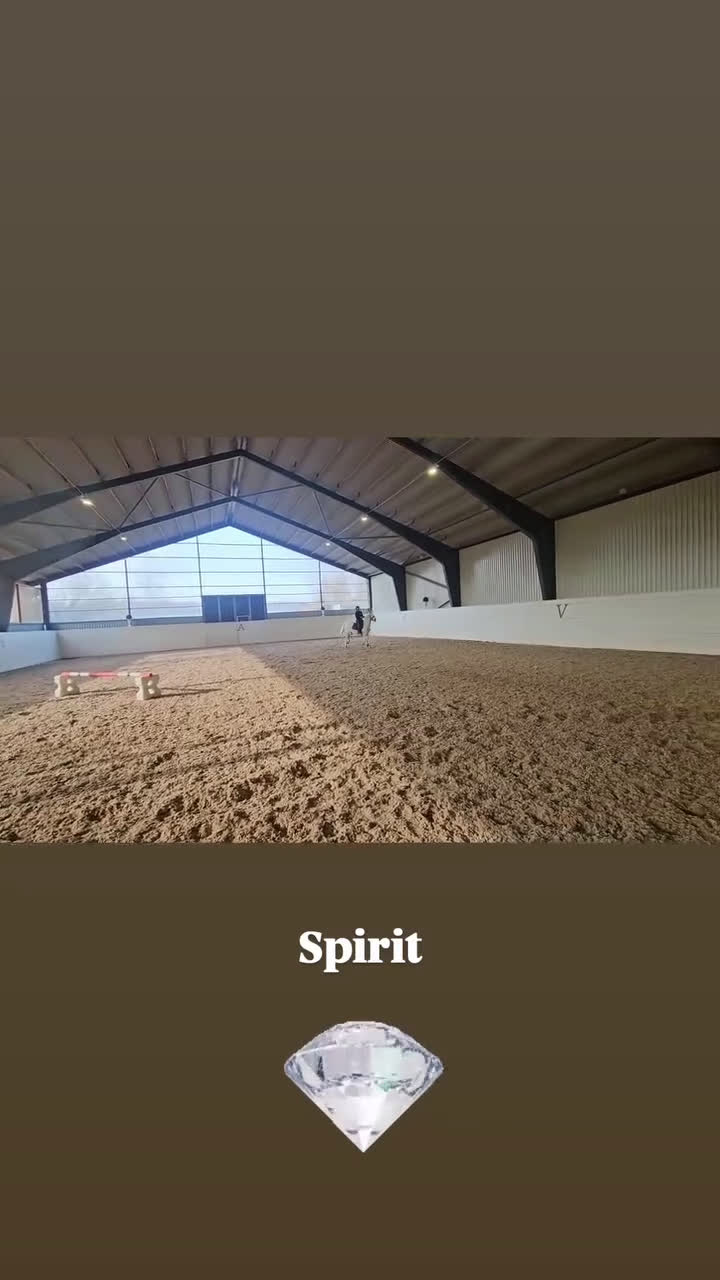 Hoppning hästar till salu: LÄROMÄSTARE ✨️🦄 - Video 2