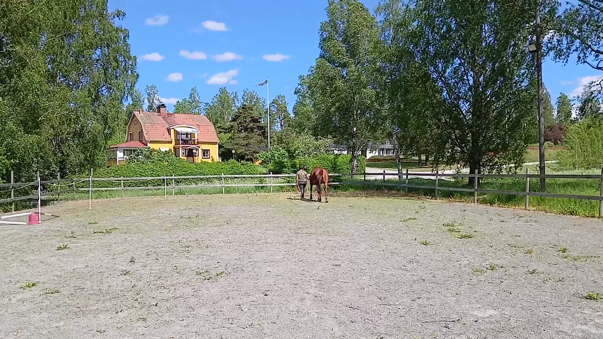 Allround hästar till salu: Trevlig 5 årigt SWB-sto - Video 1