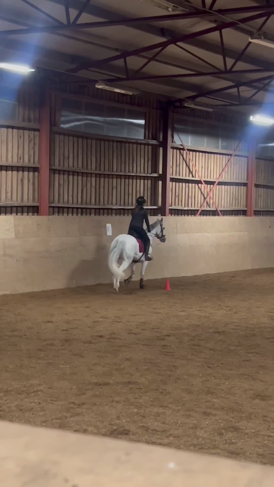 Allround hästar till salu: D ponny sto med stor potential💫 i Vedum - Video 4