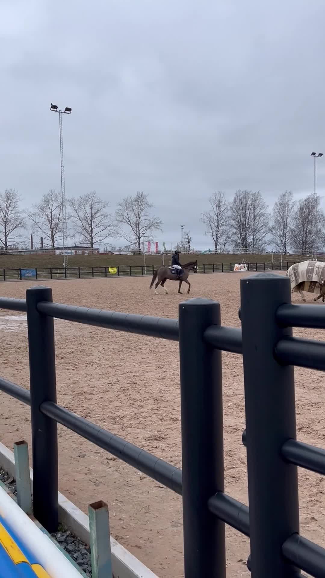 Hoppning hästar till salu: Välutbildad maxad C-Ponny  - Video 2