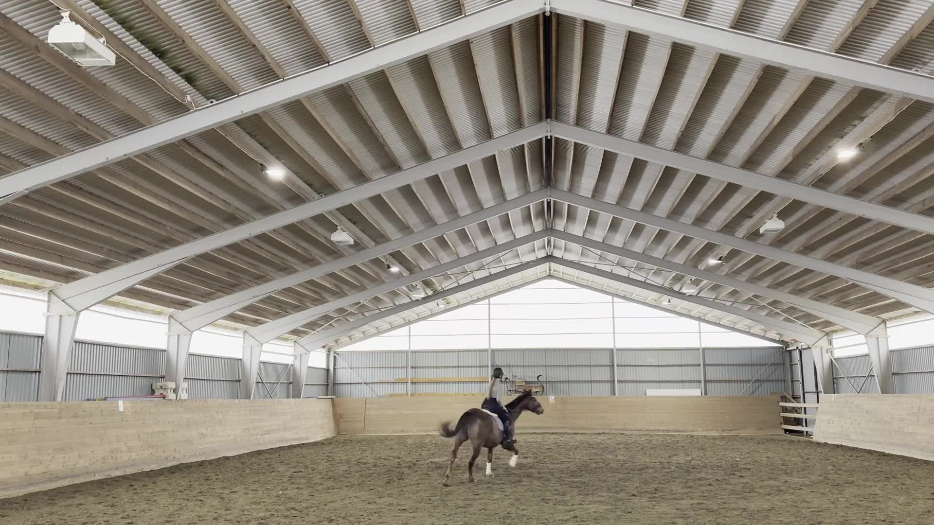 Allround hästar till salu: Lyxig allroundhäst - Video 4