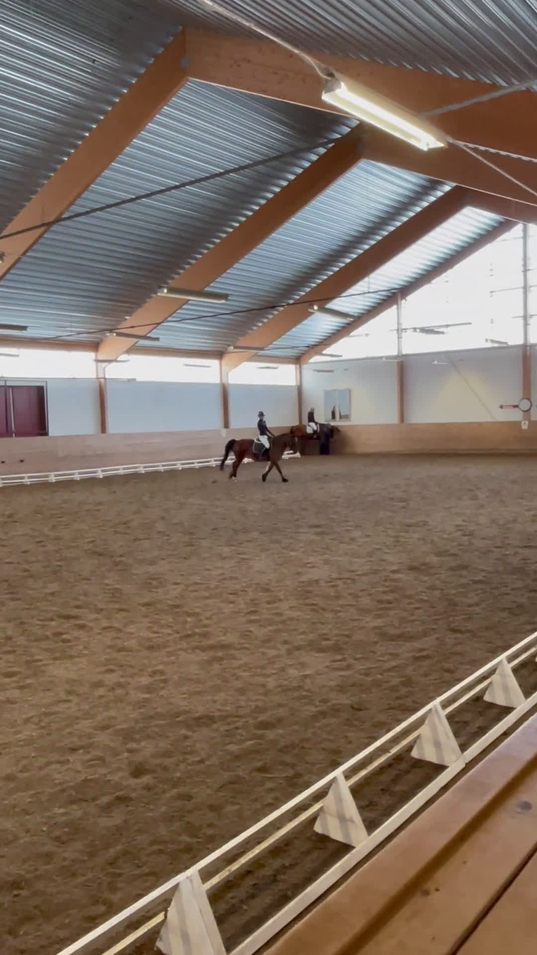 Allround hästar sökes: Söker foderhäst som vill tävlas för senare köp - Video 4