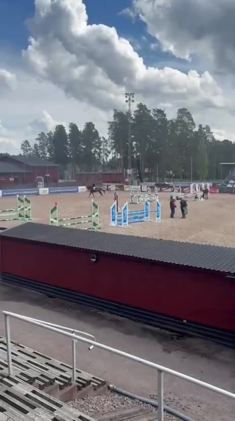 Hoppning hästar till salu: Hopphäst säljes  - Video 1