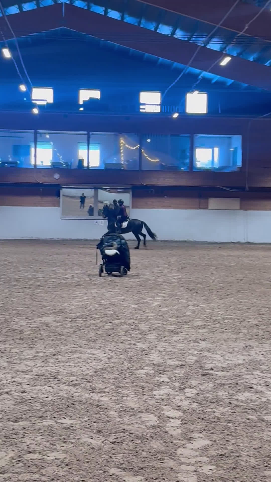 Allround hästar till salu: Fantastisk gentleman! - Video 1