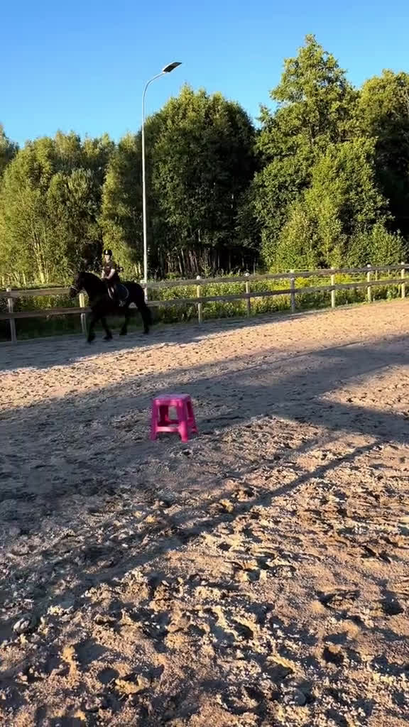 Allround hästar sökes: Foderhäst sökes i Vimmerby - Video 1