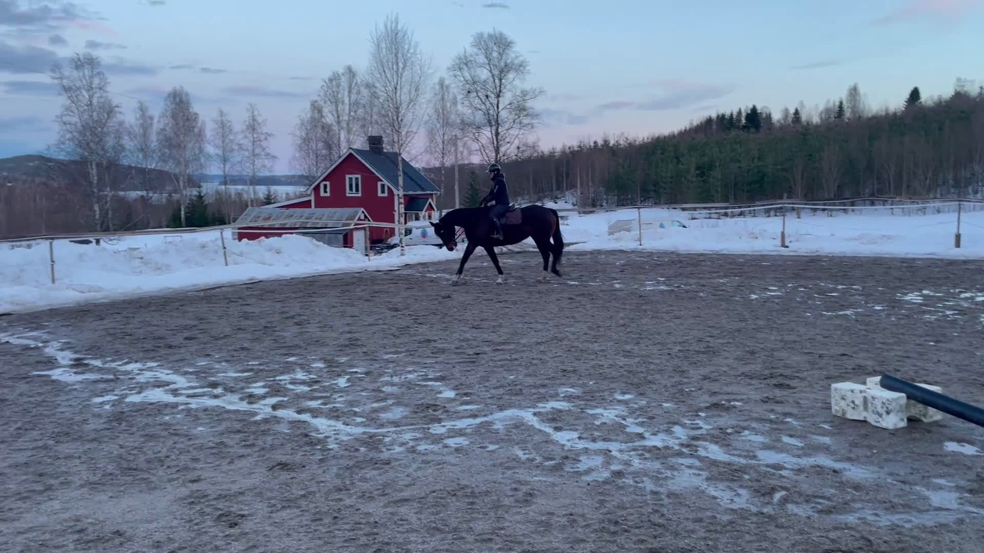 Allround hästar till salu: Fin ridtravare - Video 1