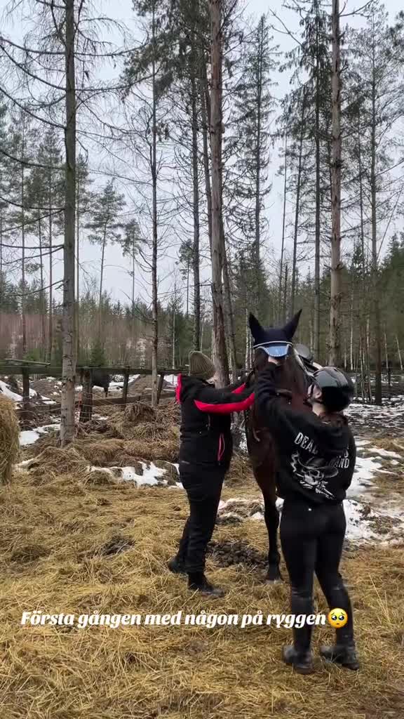 Allround hästar till salu: Sia söker sin nya person i Lakene - Video 1