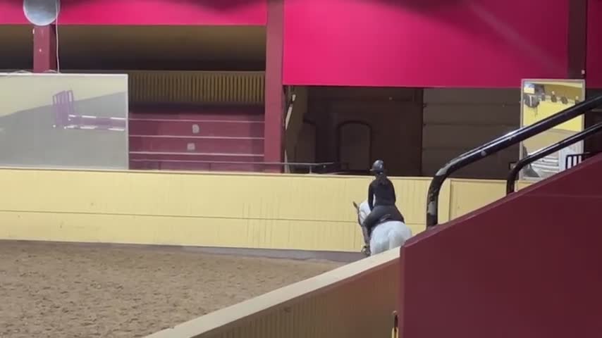 Hoppning hästar till salu: Kanske den bästa hästen till en junior. - Video 1