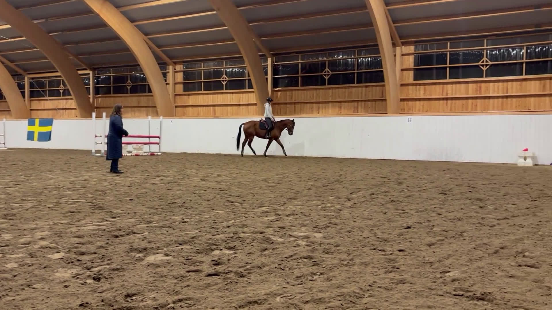Allround hästar till salu: Medryttare sökes till 5 åring i Sala - Video 1