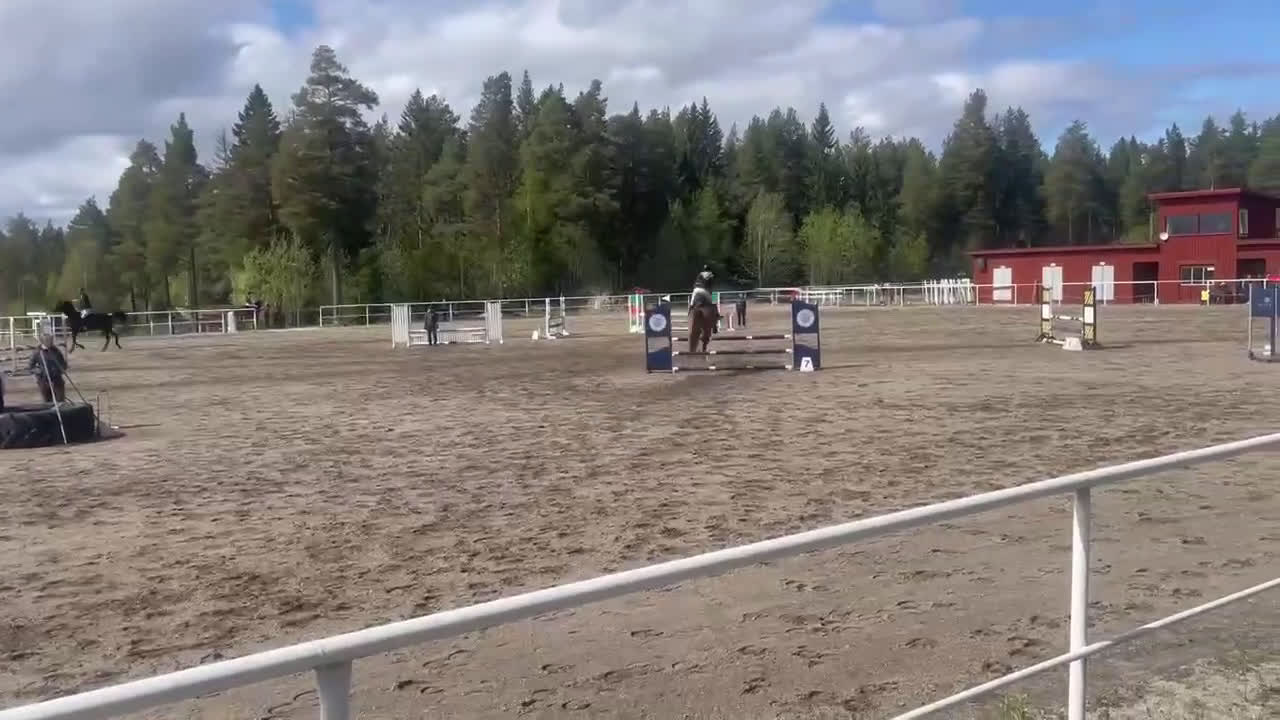 Allround hästar till salu: Piggt och trevligt allroundsto i Boden - Video 3