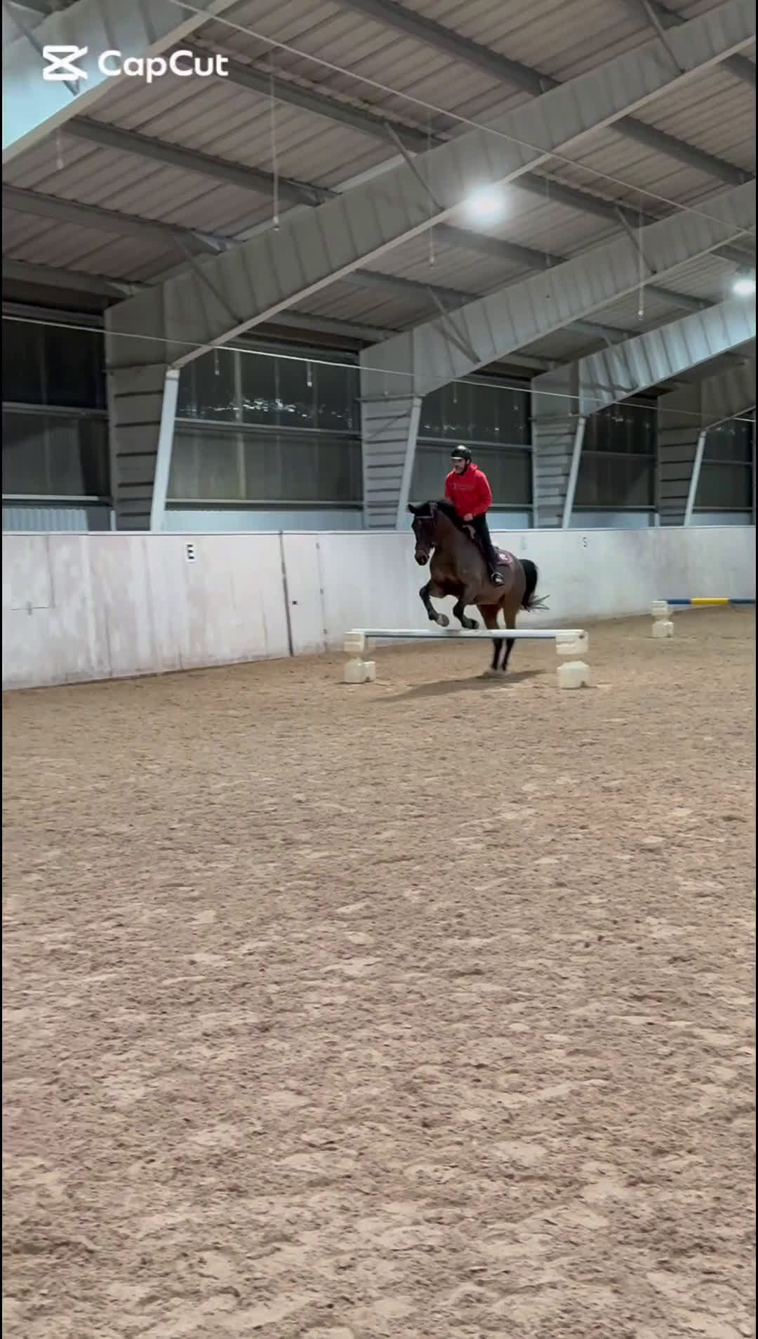 Hoppning hästar till salu: Kenneth 🌟 - Video 3