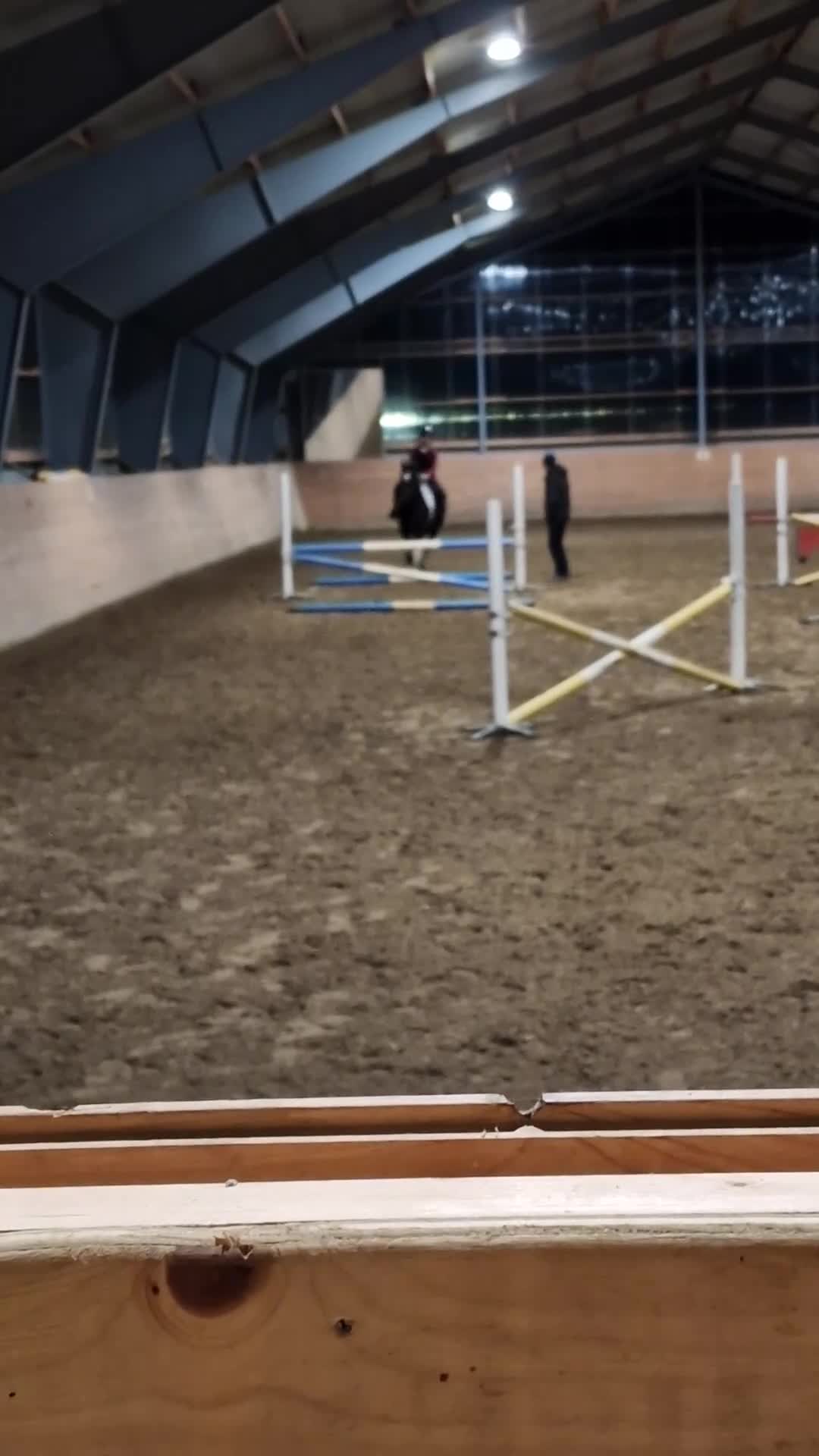 Allround hästar till salu: Fantastisk 12 årig allroundvalack säljes. - Video 4