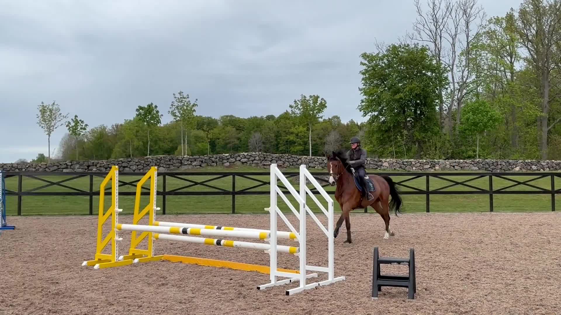 Hoppning hästar till salu: Väldigt fin SWB 4åring - Video 3