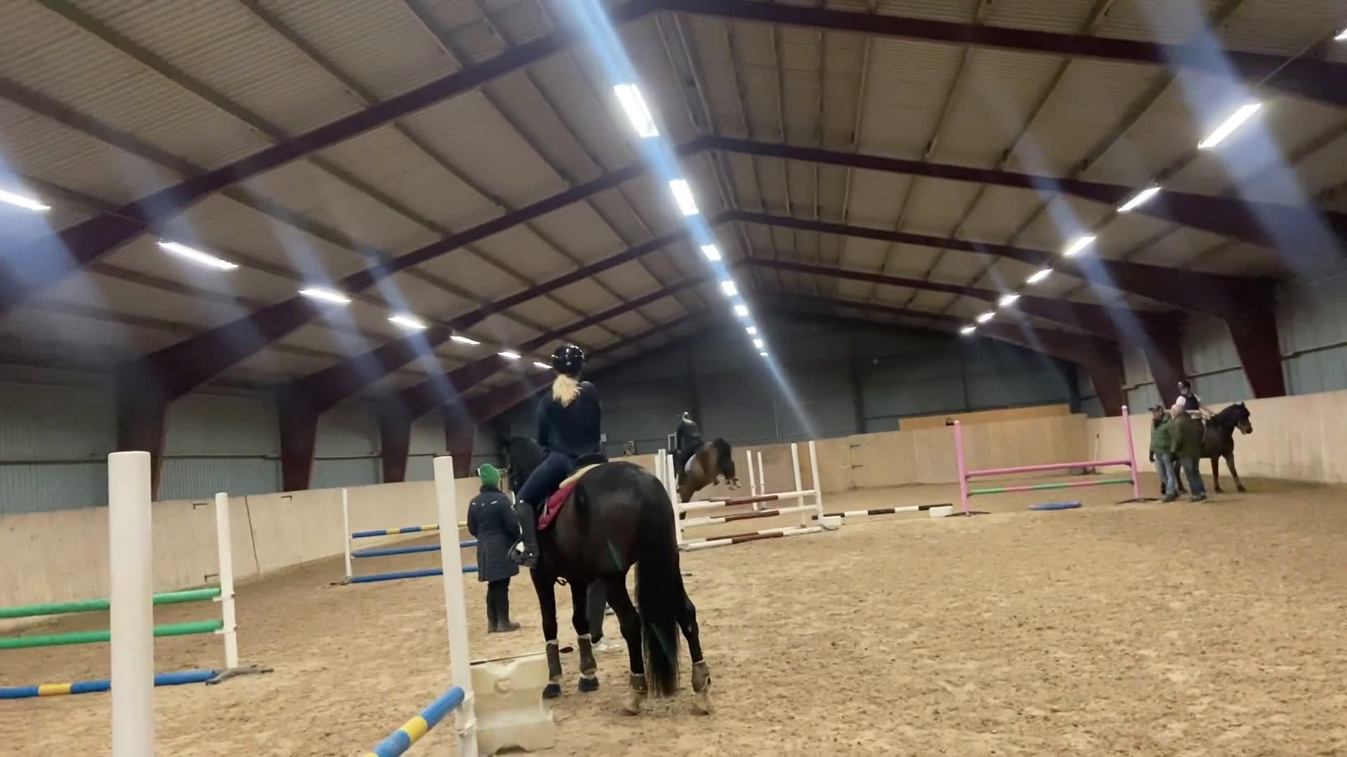 Allround hästar till salu: Framtida Sjärna🌟 i Ljungbyholm - Video 3