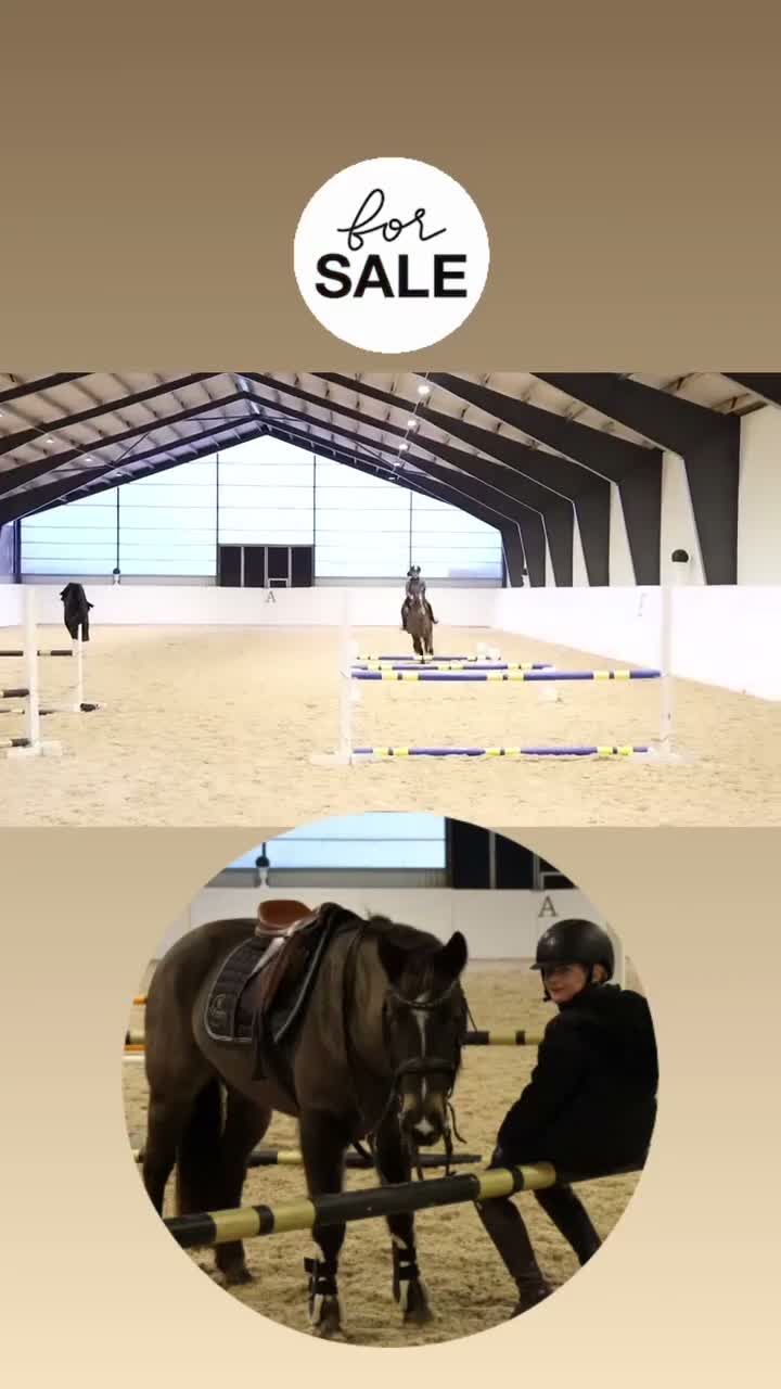 Allround hästar till salu: RIDSKOLA / VERKSAMHET 💞 Unik ponny!! - Video 1