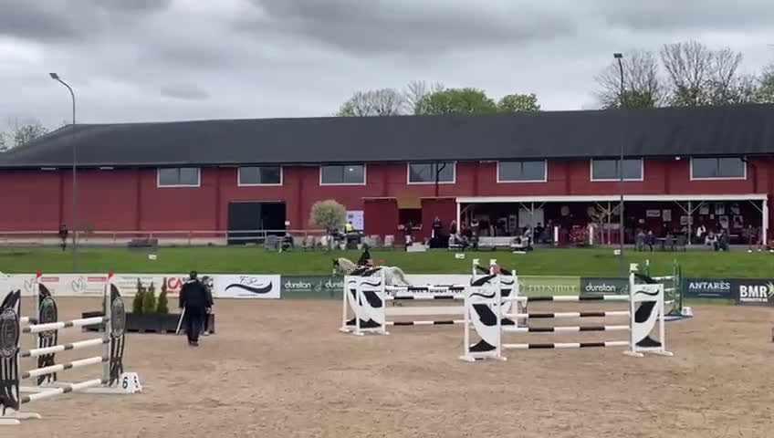 Hoppning hästar till salu: Bästa Jalapeno! i Kimstad - Video 2