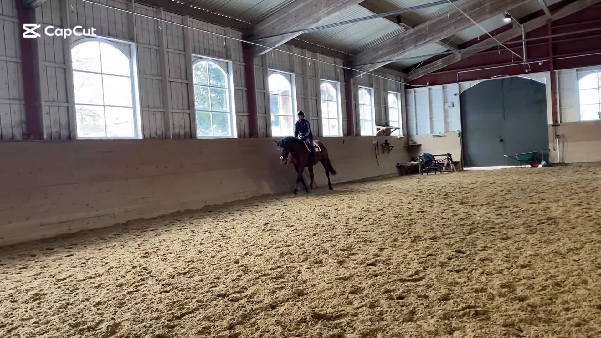 Allround hästar till salu: Bästa kompis - Video 2