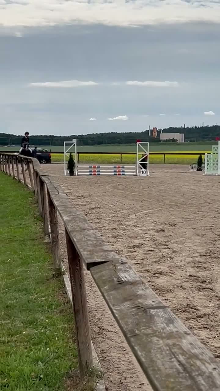 Allround hästar till salu: Fin läromästare ⭐️ - Video 2