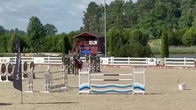 Dressyr hästar till salu: Underbar valack med utstrålning! - Video 4