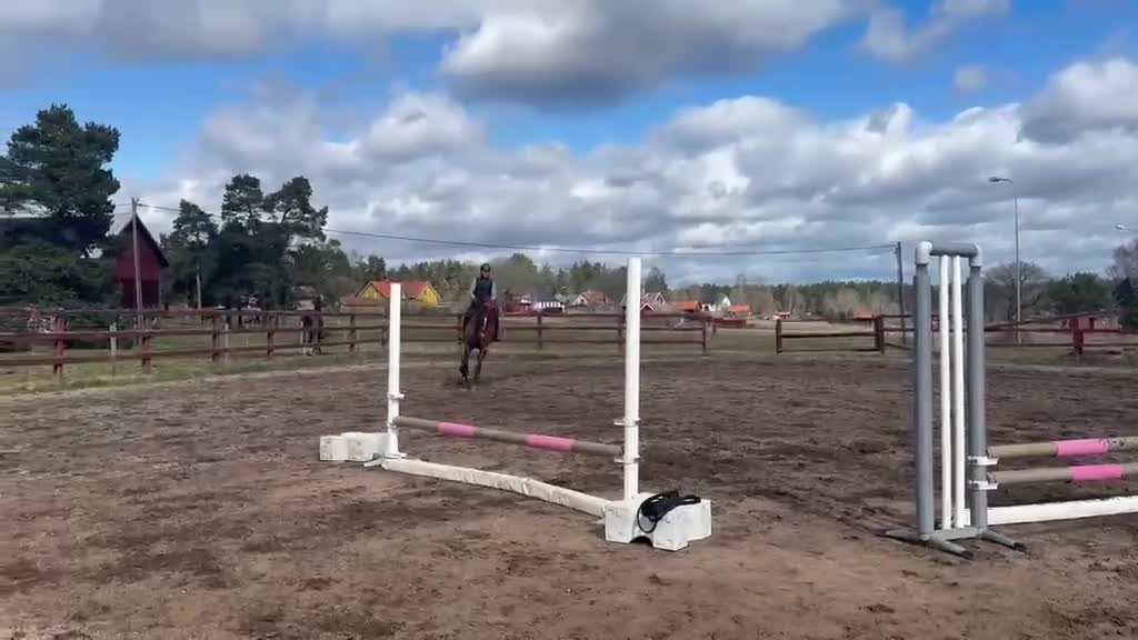 Dressyr hästar till salu: Elegant sto med tre bra gångarter i Söderköping - Video 2