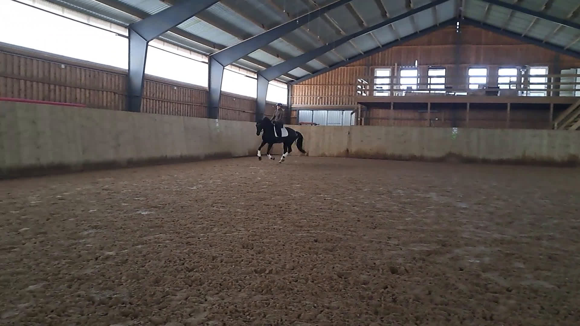 Dressyr hästar till salu: Trygg lovande unghäst med GP möderne - Video 2