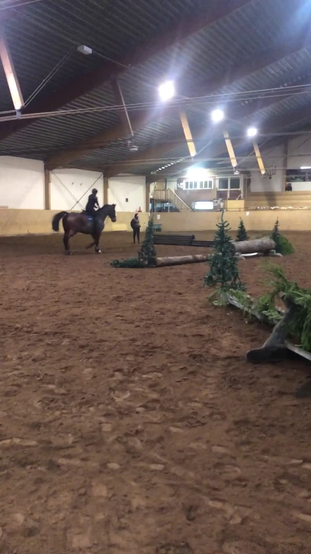  medryttarhäst sökes: Medryttare finnes! - Video 2