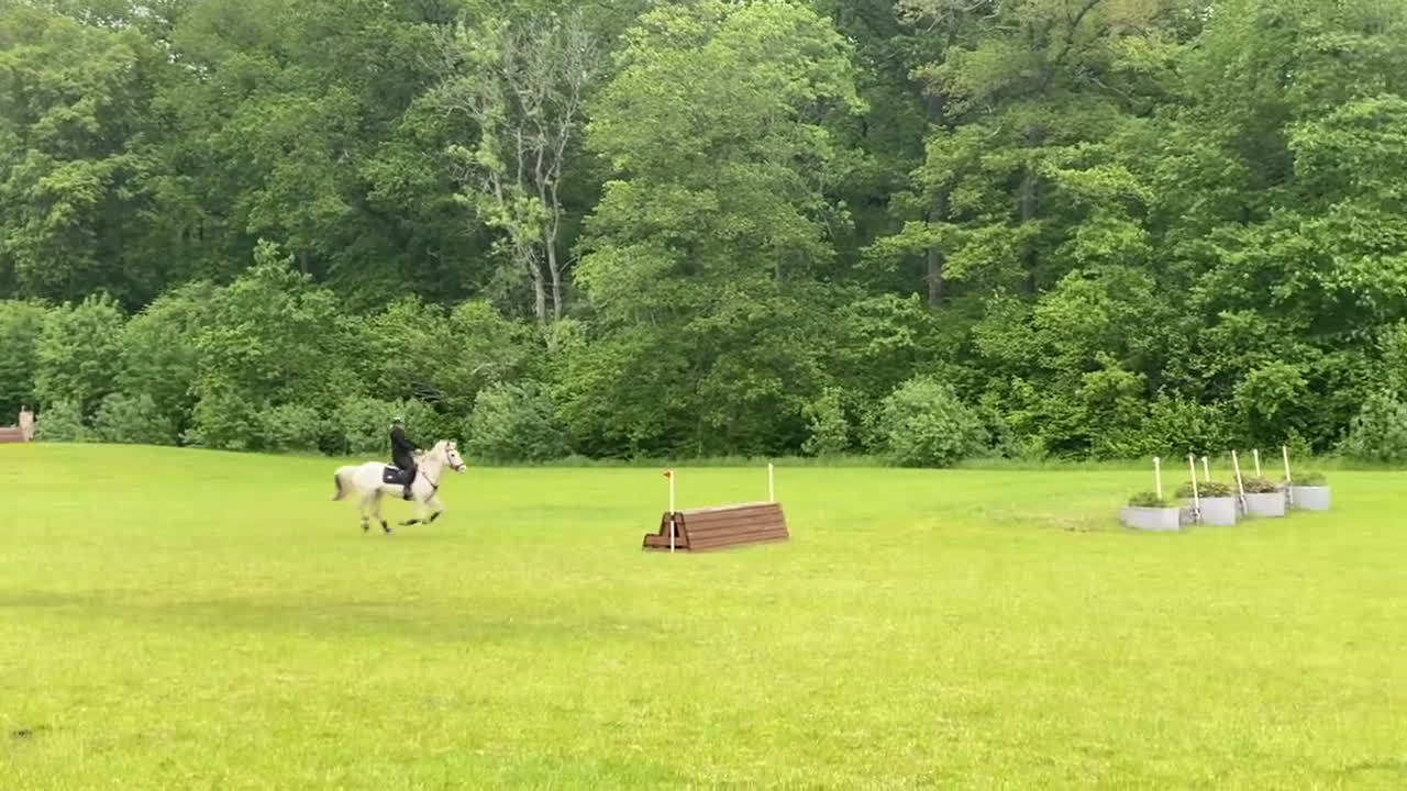 Allround hästar till salu: Maxad D ponny som syns i mängden - Video 1