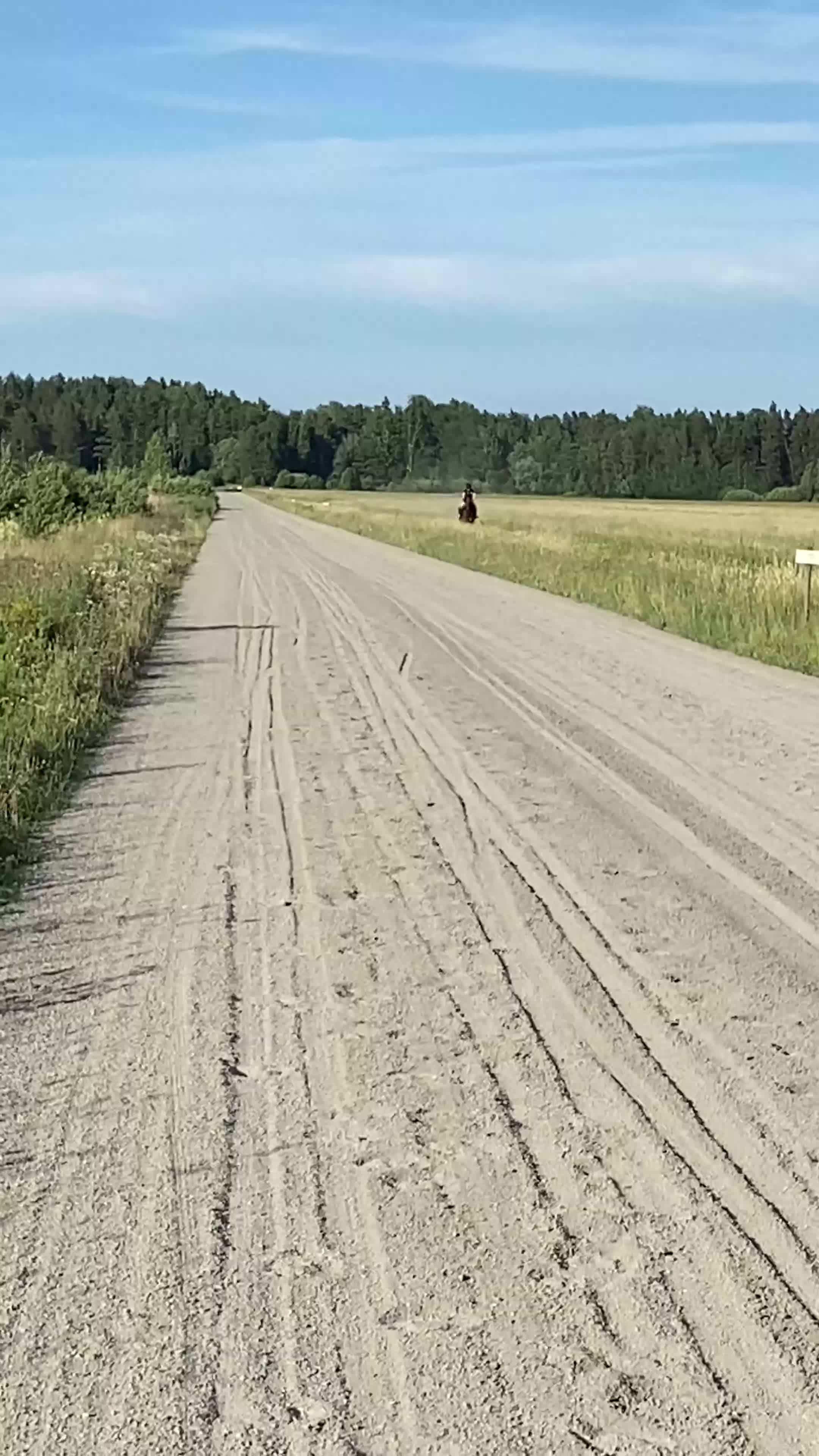 Övrigt hästar till salu: Mkt fint o trevligt sto, mor/dotter häst? - Video 1