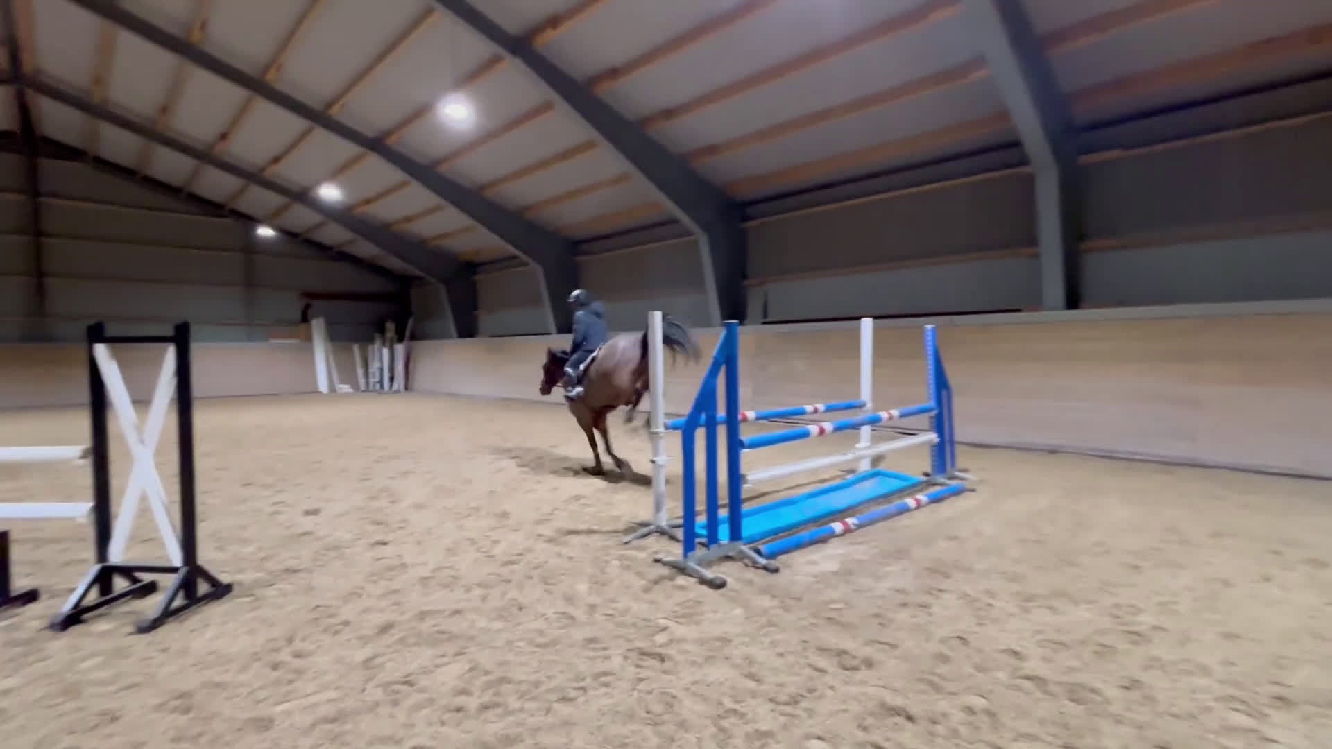 Hoppning hästar till salu: Maxad c-ponny i Ingelstad - Video 2