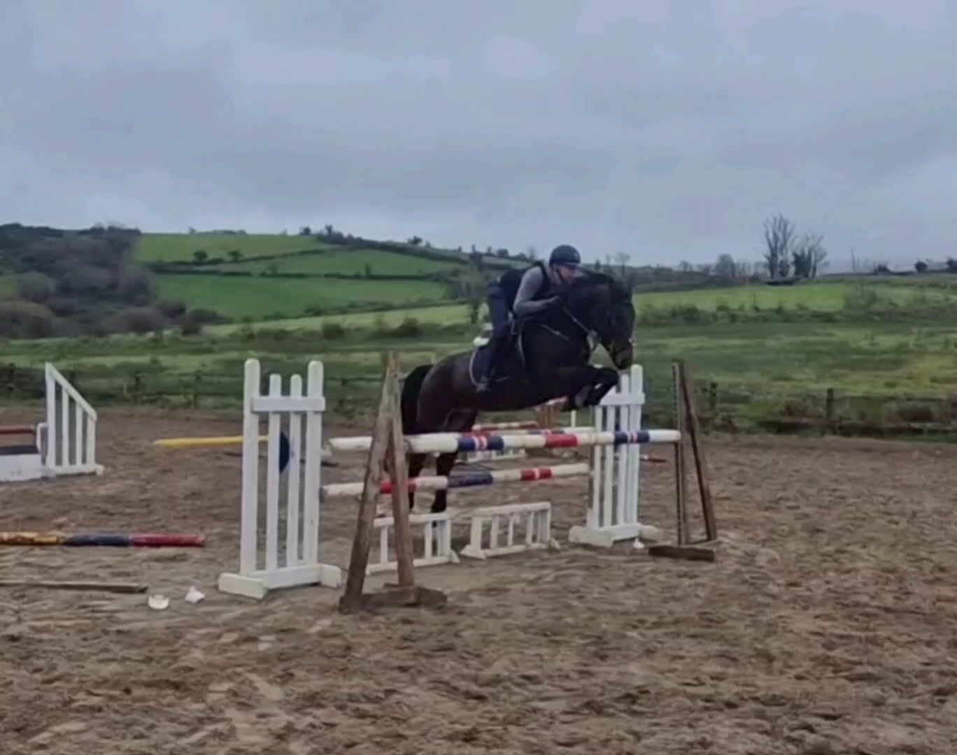 Hoppning hästar till salu: Amazing pony i Göteborg - Video 3