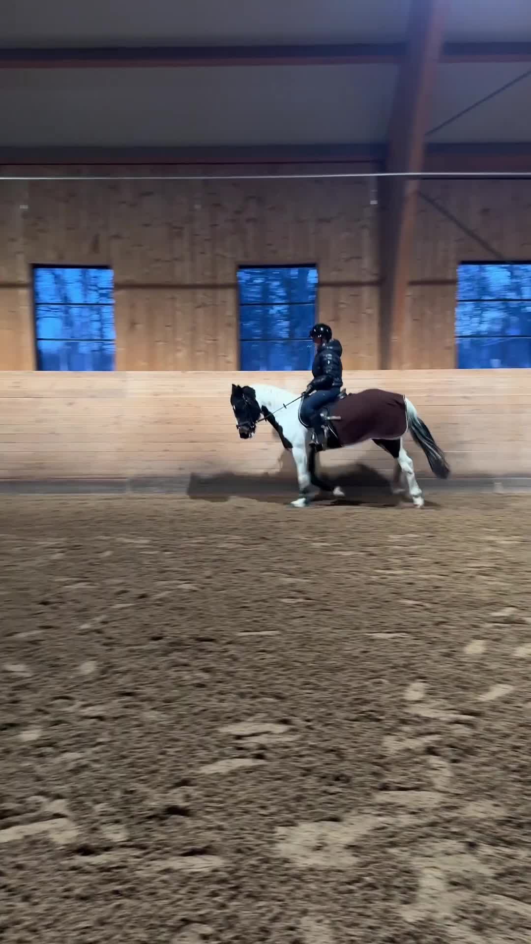 Hoppning hästar till salu: Snäll och trygg C-ponny - Video 1