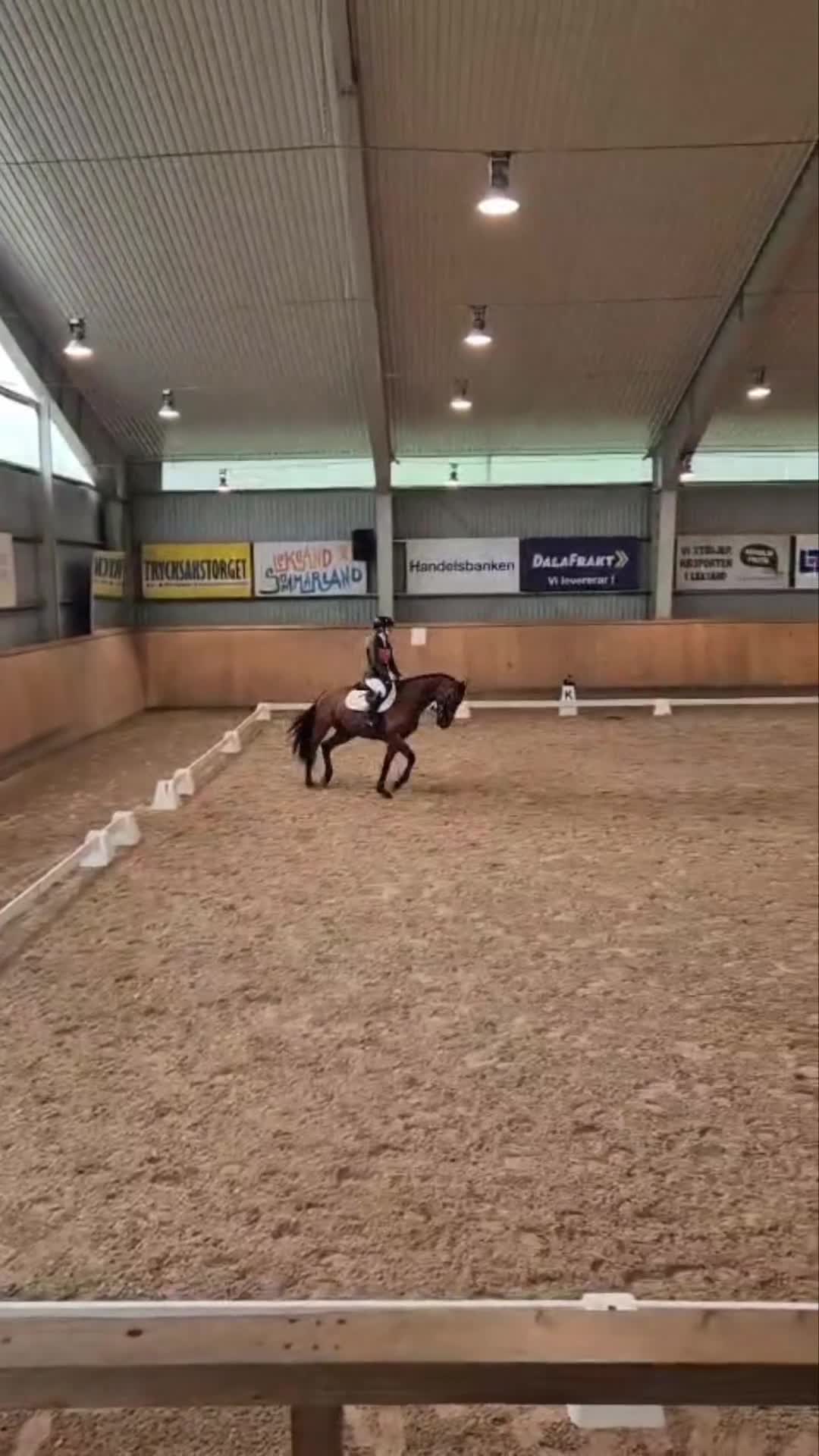 Fälttävlan hästar till salu: Häftig fälttävlanshäst - Video 2