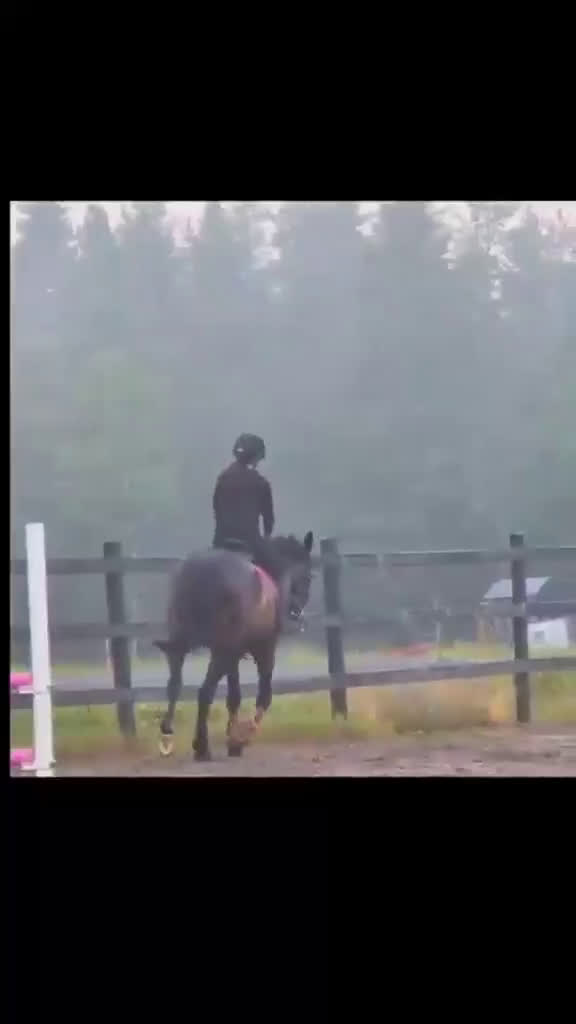  foderhäst finnes: Delfodervärd eller betalande medryttare i Nässjö - Video 1