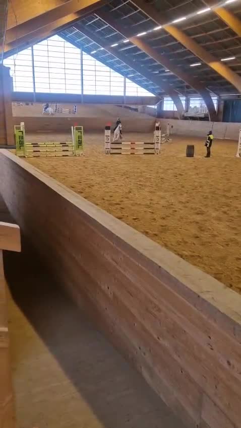 Allround hästar till salu: Supersnäll allround ponny i Vargön - Video 1