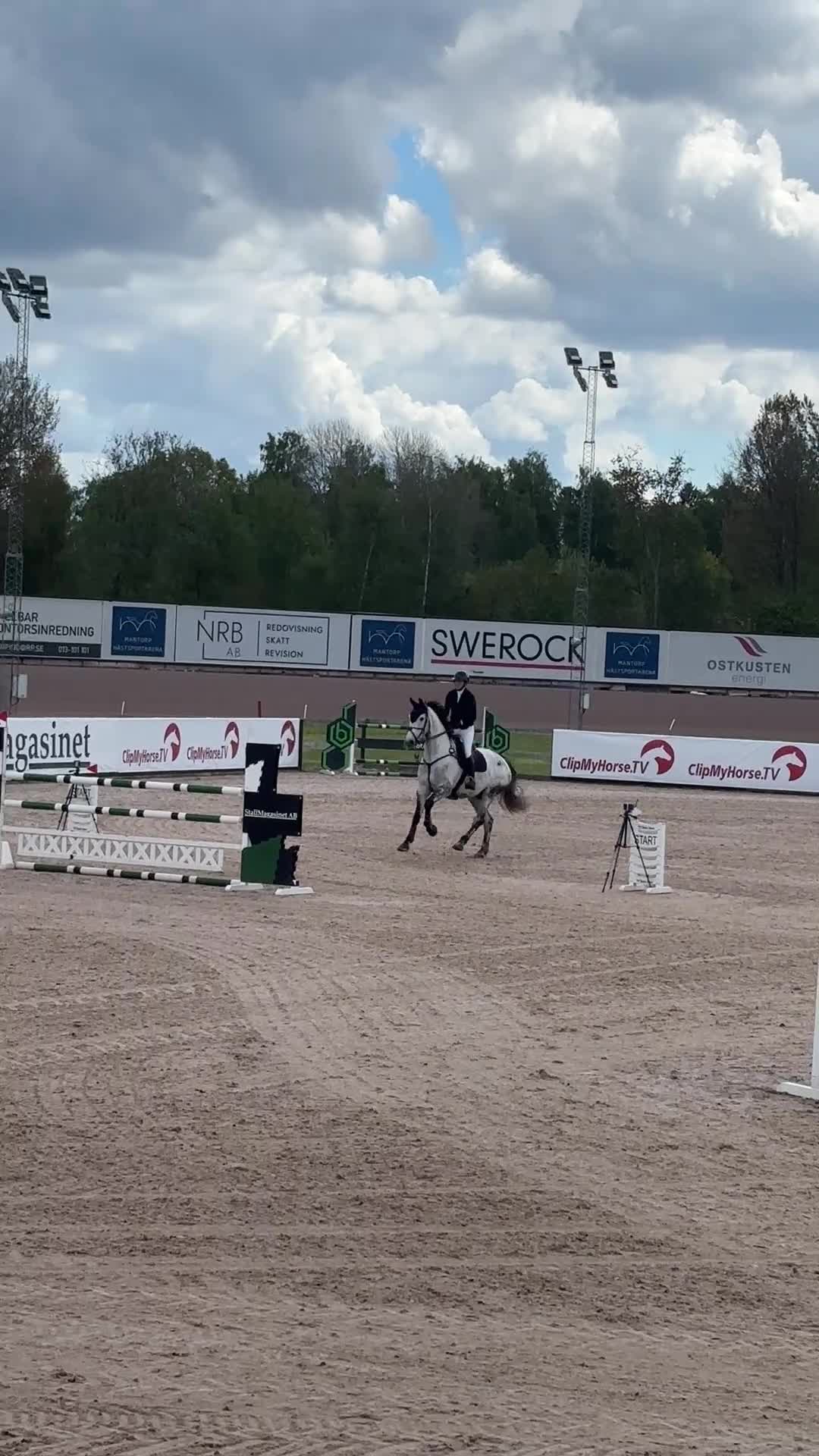 Hoppning hästar till salu: Valack med potential för stora klasser 🌟 - Video 2