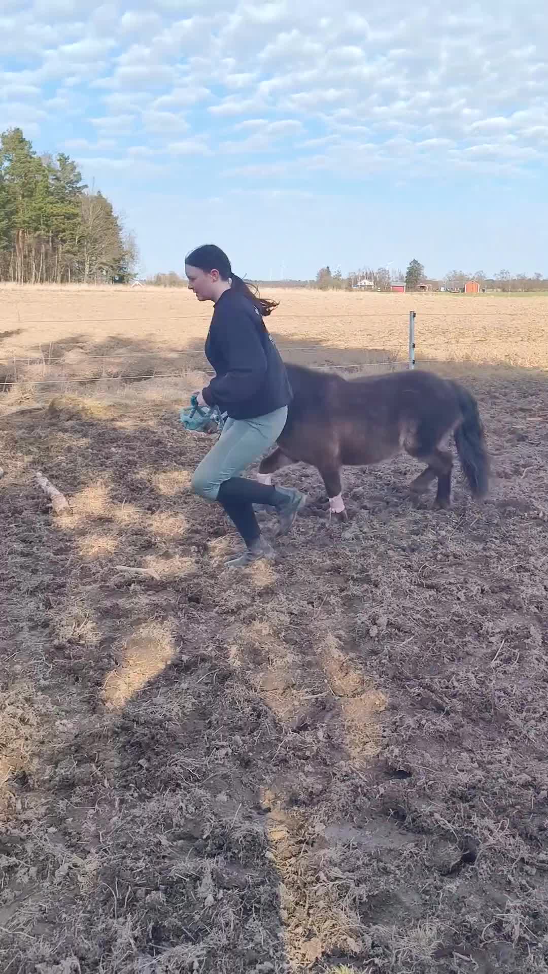  medryttarhäst finnes: Liten medryttare sökes! i Kvänum - Video 2