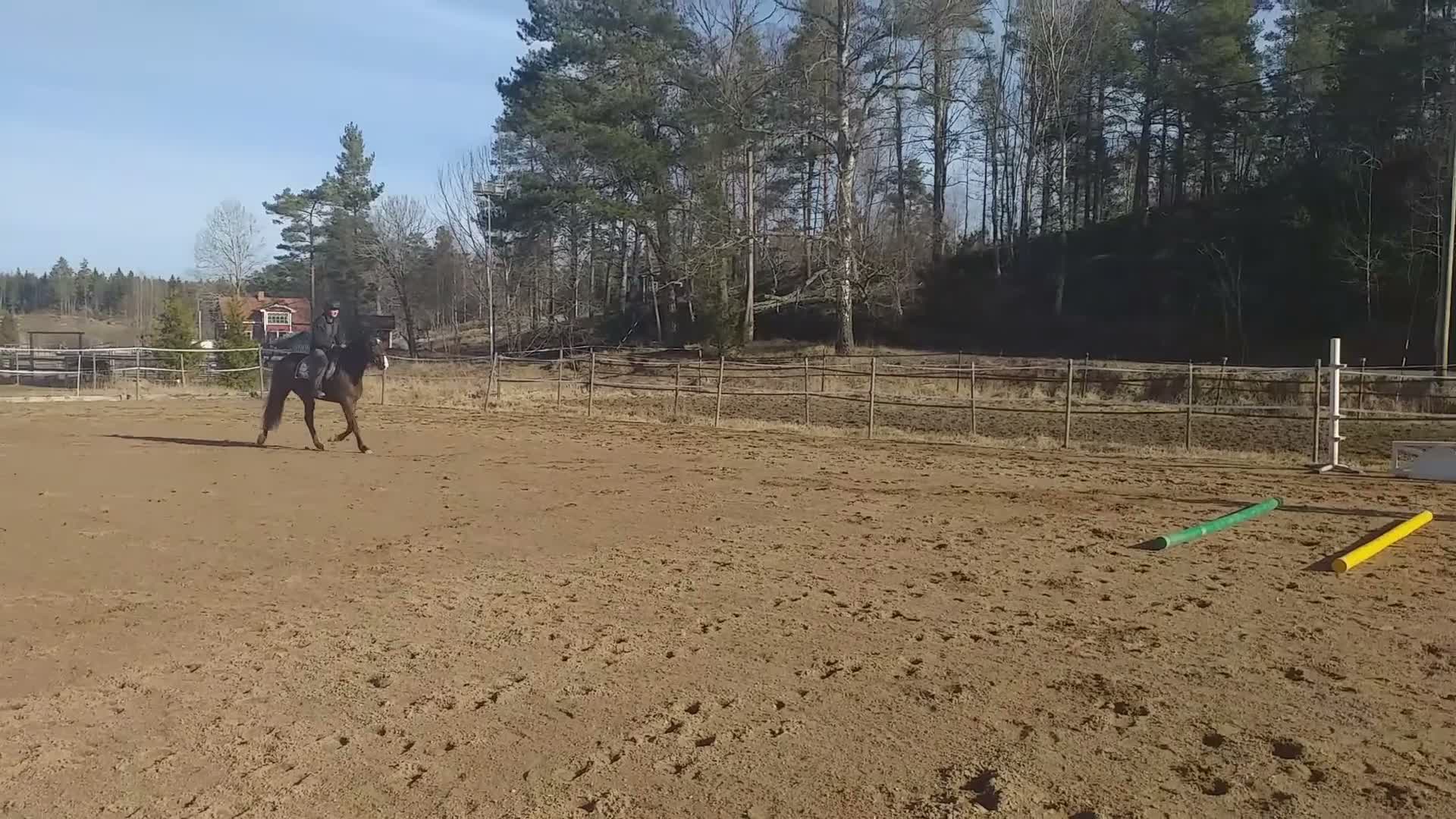 Allround hästar till salu: Trevligt sto 6 år - Video 1