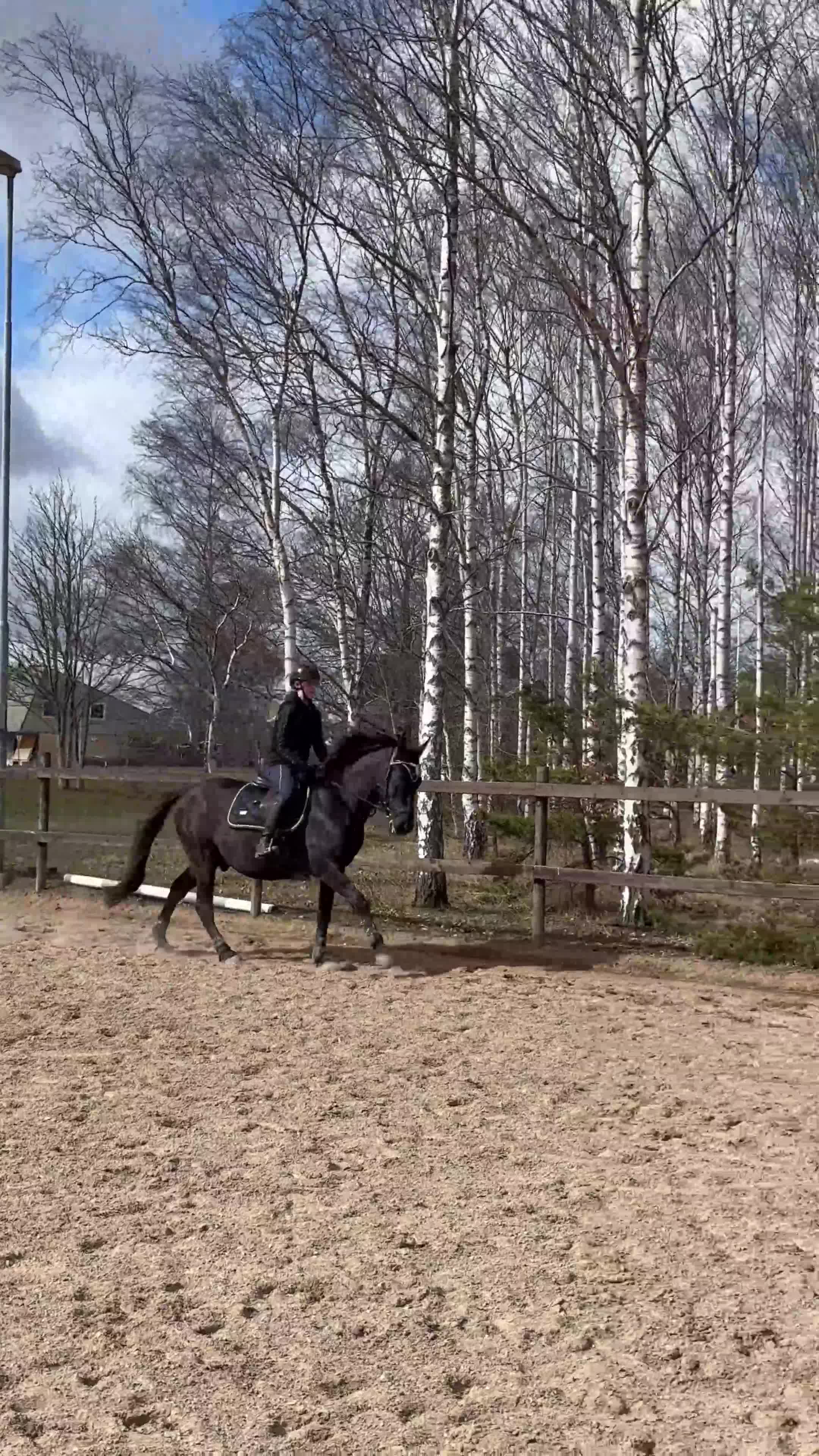 Allround hästar till salu: Fin D-ponnyvalack söker nytt hem 🤩 - Video 4