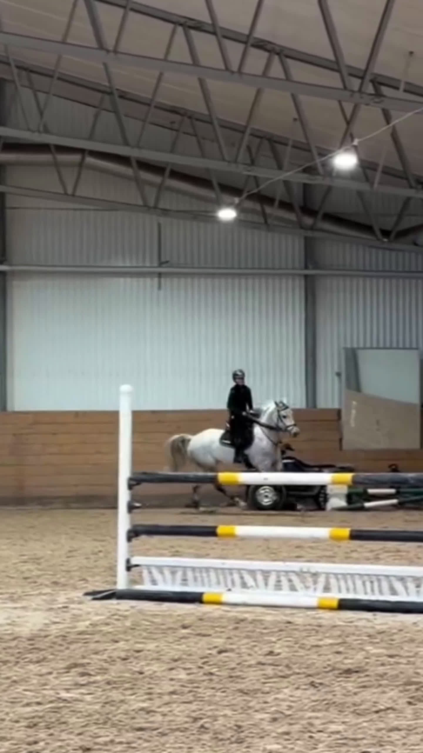 Hoppning hästar till salu: Vänlig tävlingshäst.  i Linköping - Video 1