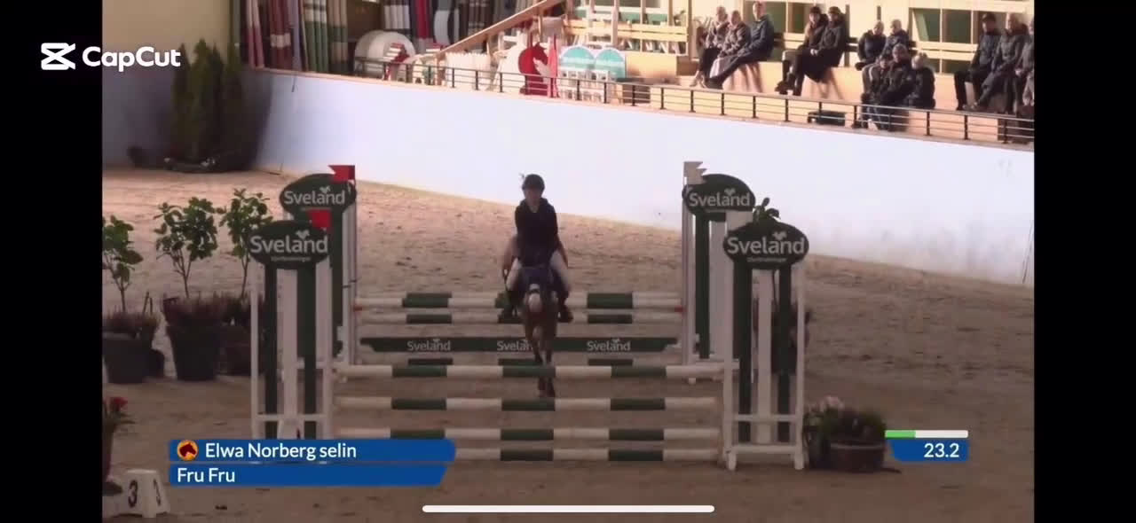 Hoppning hästar till salu:  Fru Fru  i Sorunda - Video 1