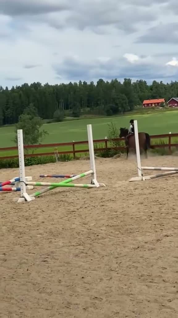 Allround hästar sökes: Medryttar ponny sökes! i Hägersten - Video 4