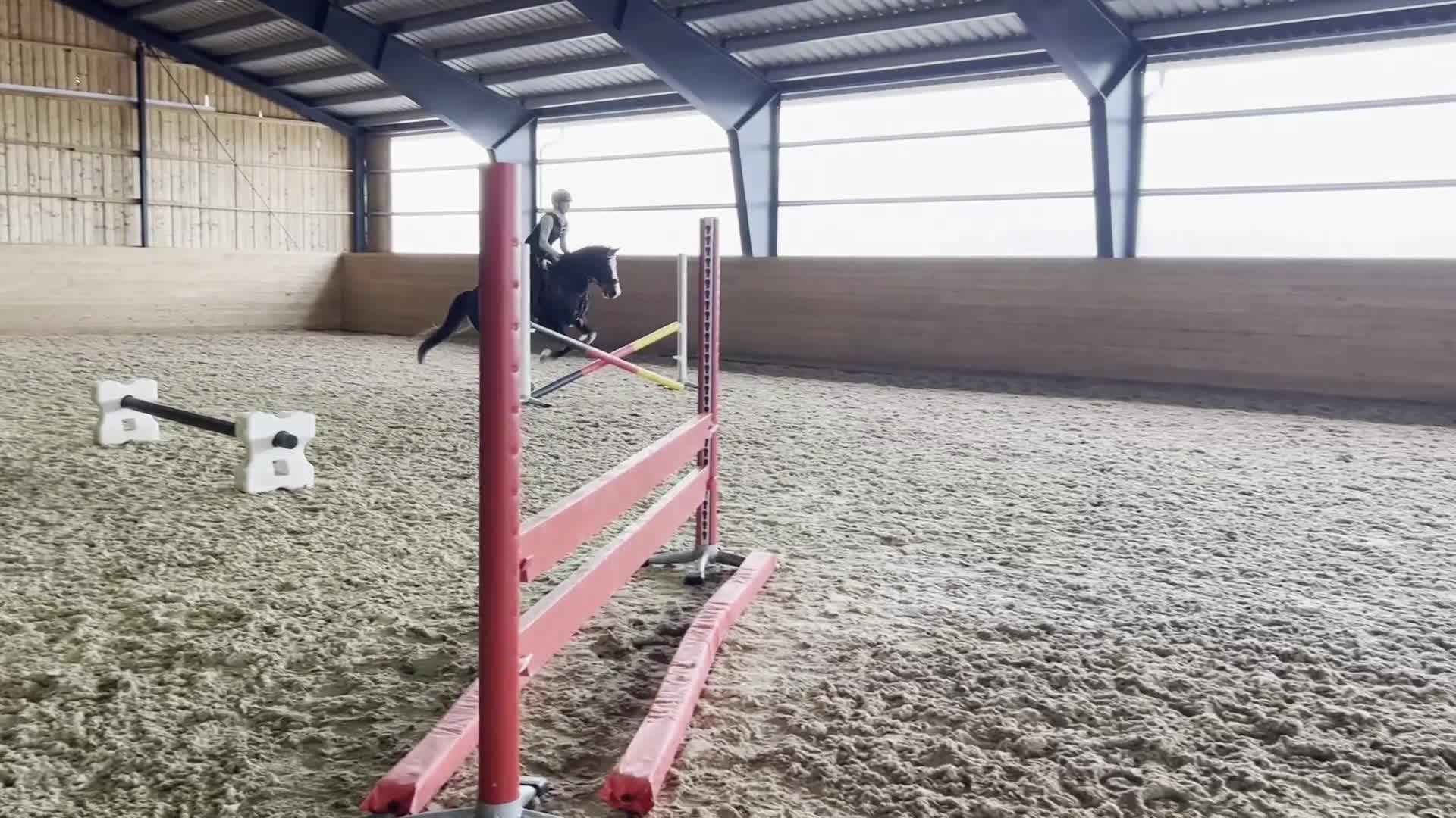 Allround hästar till salu: C-ponny valack född 2009 i Morgongåva - Video 2