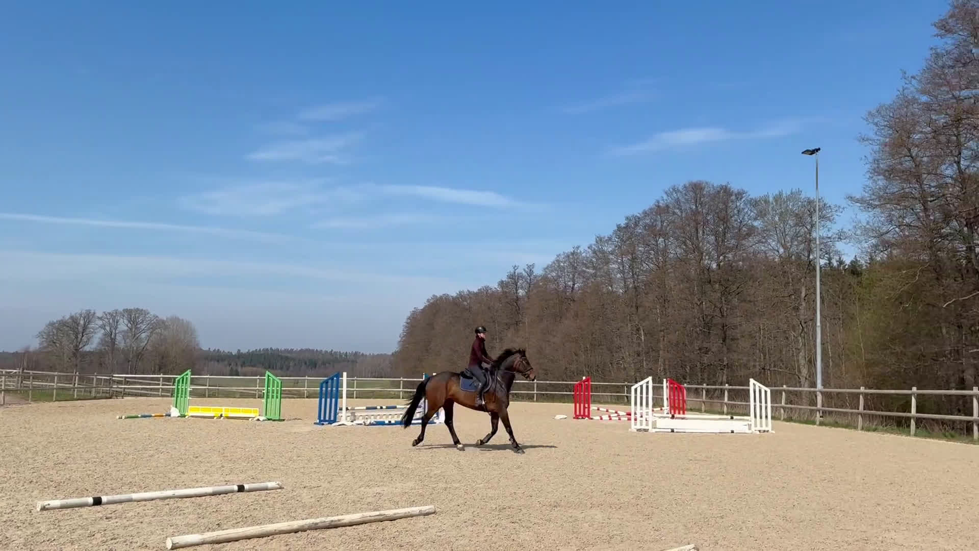 Hoppning hästar till salu: SWB 4åring i Knislinge - Video 3