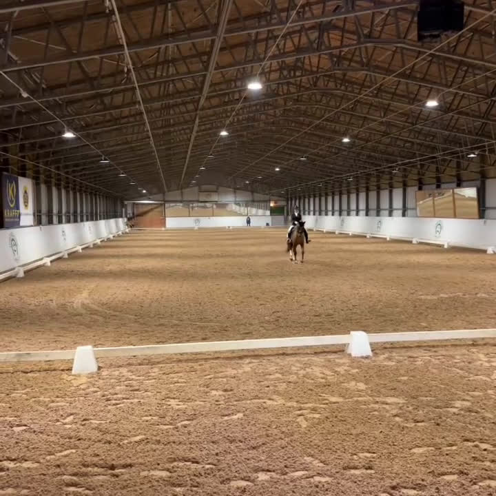 Dressyr hästar till salu: Lyxig hobbyhäst  i Täby - Video 2