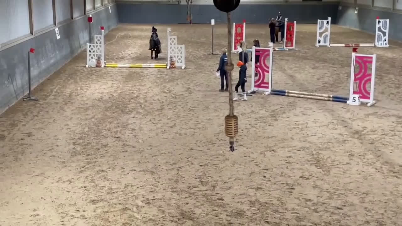 Allround hästar till salu: Underbar shetlandsponny  i Skara - Video 1