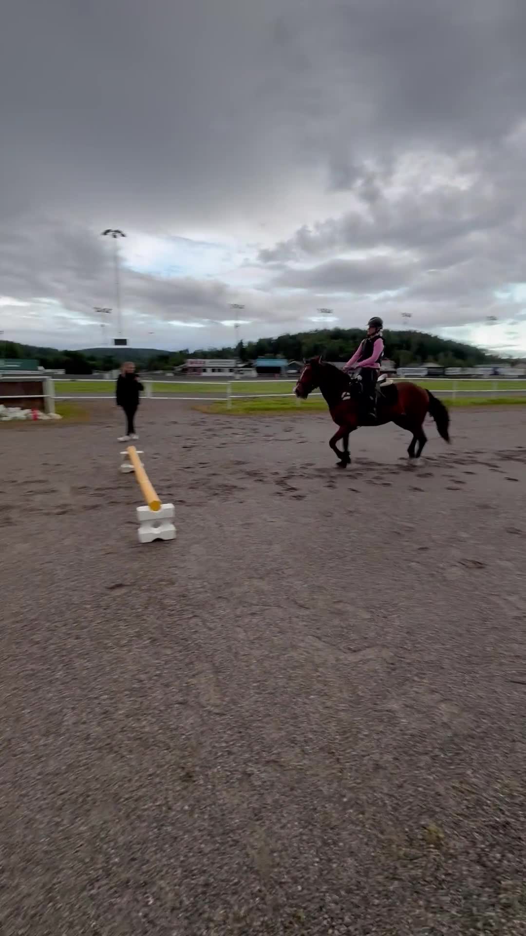 Allround hästar till salu: Nu söker Tomte Blixtra ett nytt hem som ridhäst i Sundsvall - Video 1